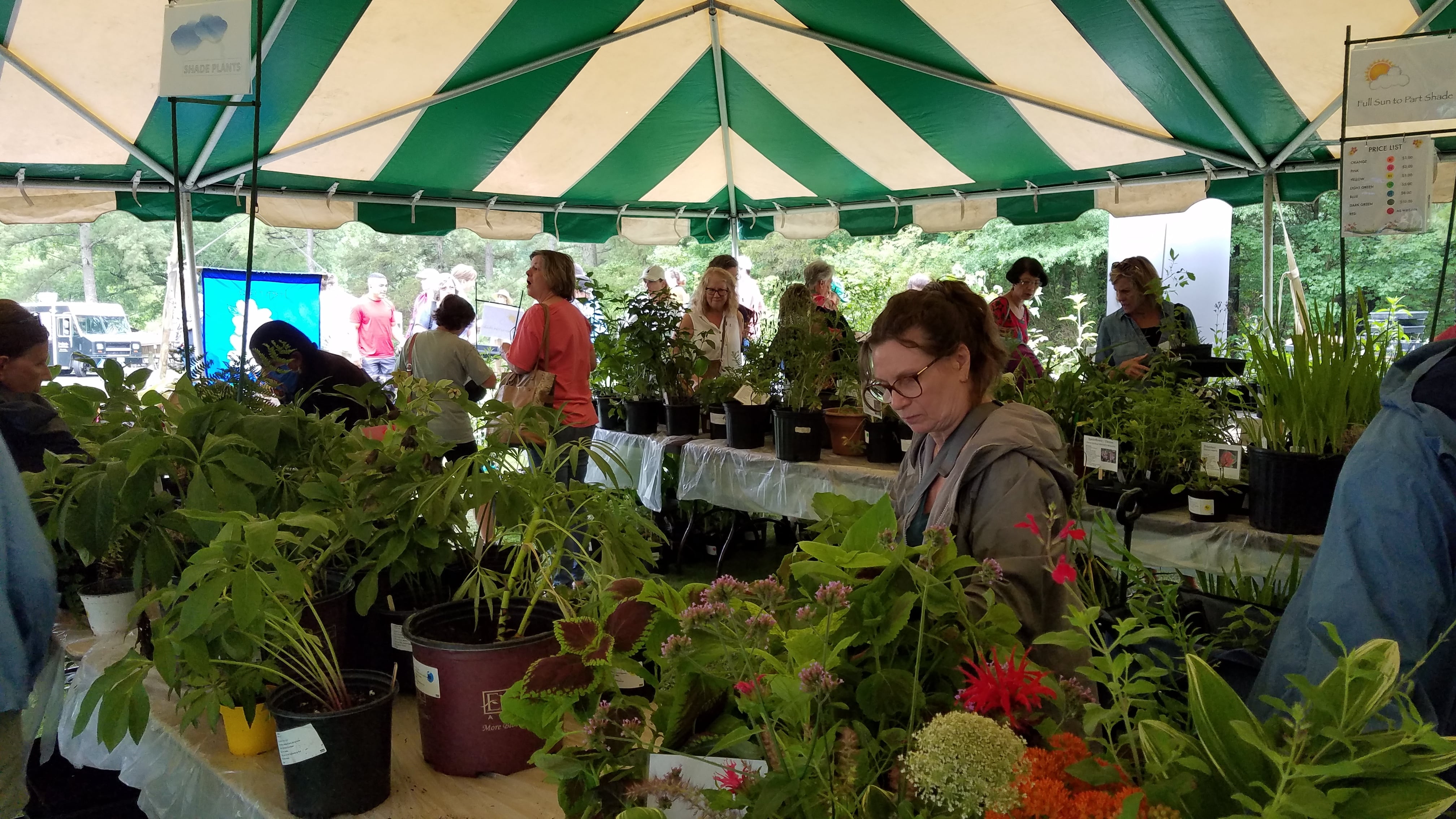 Plant-Sale
