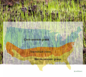 Cool Season Grass chart
