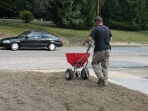 A lawn showing the effects of summer heat and drought