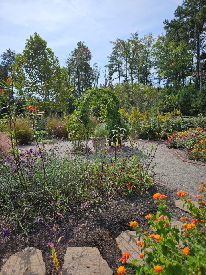 Flowering plants and a walking path in a Henrico Master Gardener demonstration garden