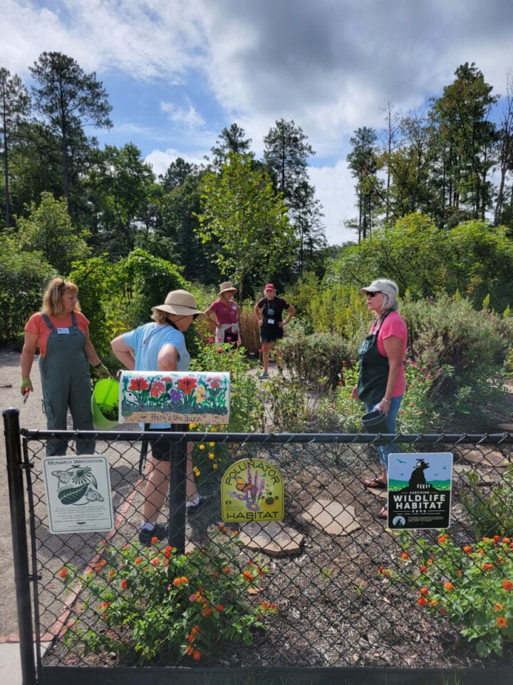 Henrico Master Gardener volunteers working among flowering plants in the Short Pump Park Pollinator Garden